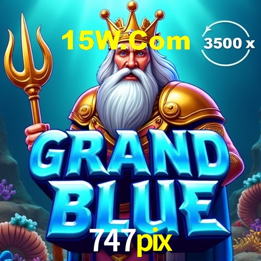Interface Premium 747pix